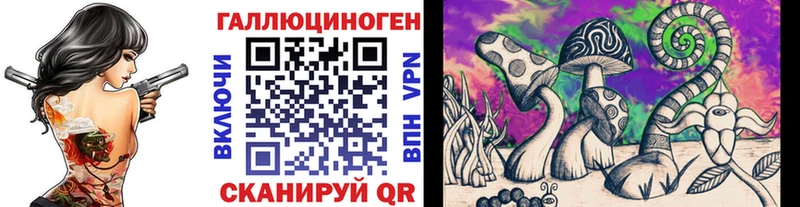 хочу   Ипатово  блэк спрут ссылки  Псилоцибиновые грибы мицелий 